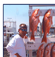 destin fishing charters