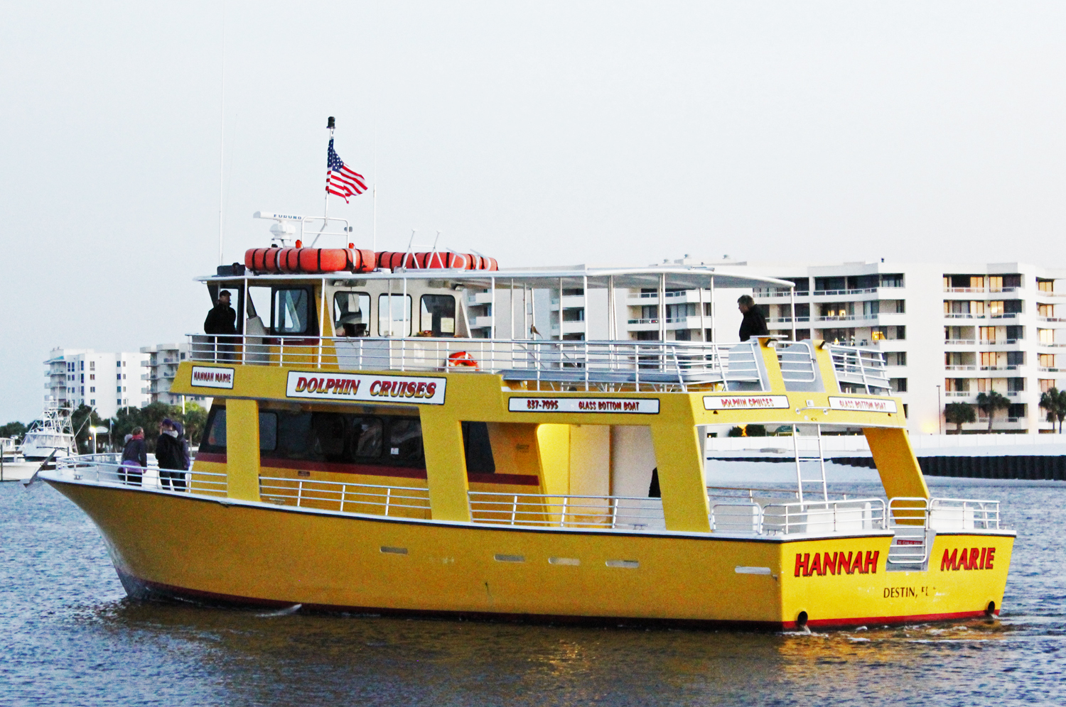 dolphin cruise dolphin cruise